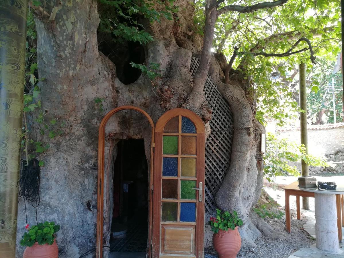 Plataniotissa Mansion Villa Kalavryta Eksteriør billede